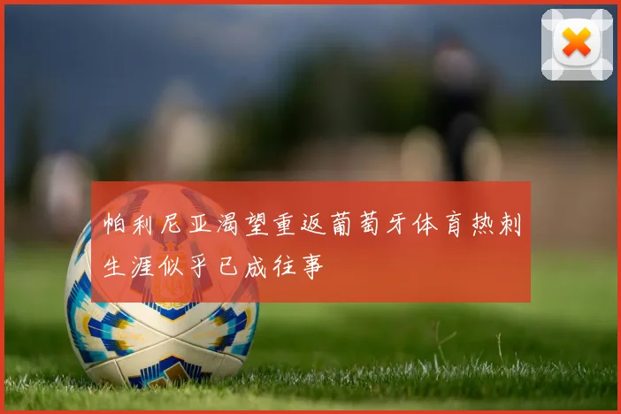 帕利尼亚渴望重返葡萄牙体育热刺生涯似乎已成往事